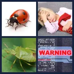 4 Pics 1 Word Level 2502
