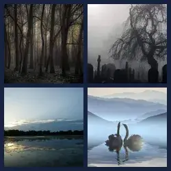 4 Pics 1 Word Level 2514