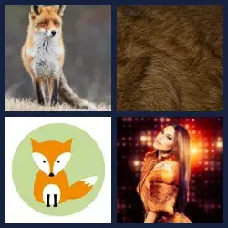 4 Pics 1 Word Level 2524