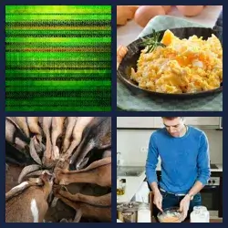 4 Pics 1 Word Level 2537