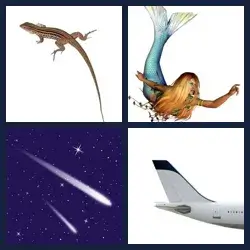 4 Pics 1 Word Level 254