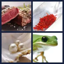 4 Pics 1 Word Level 2544