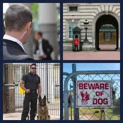 4 Pics 1 Word Level 2555