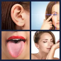 4 Pics 1 Word Level 2556