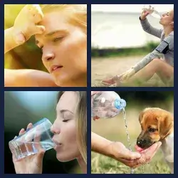 4 Pics 1 Word Level 2569