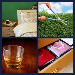 4 Pics 1 Word Level 2571