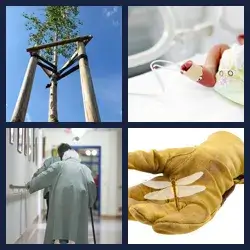 4 Pics 1 Word Level 2577