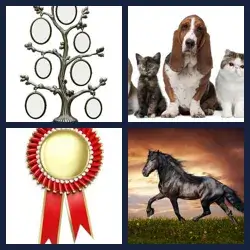 4 Pics 1 Word Level 258