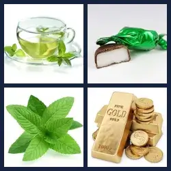 4 Pics 1 Word Level 2606