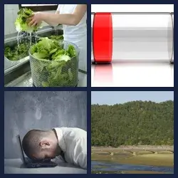 4 Pics 1 Word Level 2608