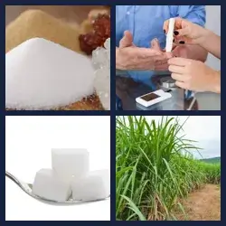 4 Pics 1 Word Level 2612