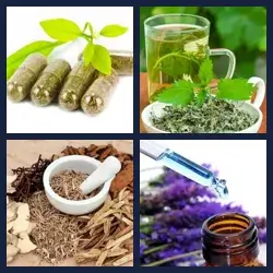 4 Pics 1 Word Level 2628