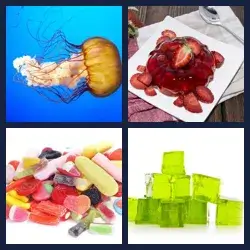 4 Pics 1 Word Level 2629