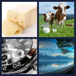 4 Pics 1 Word Level 2632