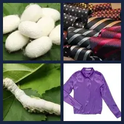 4 Pics 1 Word Level 2633