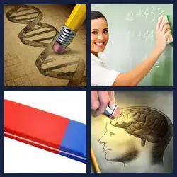 4 Pics 1 Word Level 2644