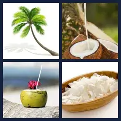 4 Pics 1 Word Level 2663