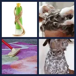 4 Pics 1 Word Level 2664