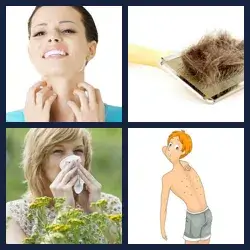 4 Pics 1 Word Level 2679