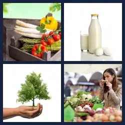 4 Pics 1 Word Level 2689