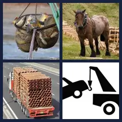 4 Pics 1 Word Level 2694