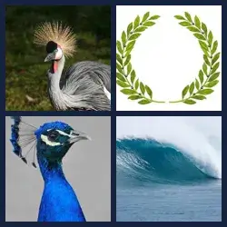 4 Pics 1 Word Level 2715