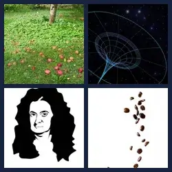 4 Pics 1 Word Level 2717