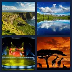 4 Pics 1 Word Level 2719