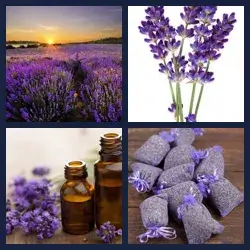 4 Pics 1 Word Level 2727