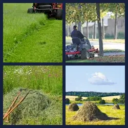 4 Pics 1 Word Level 273