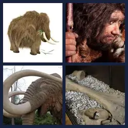 4 Pics 1 Word Level 2733