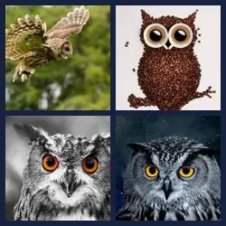 4 Pics 1 Word Level 2735