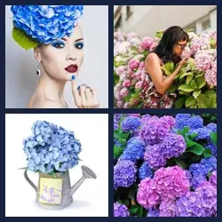 4 Pics 1 Word Level 2739