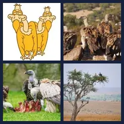 4 Pics 1 Word Level 2747