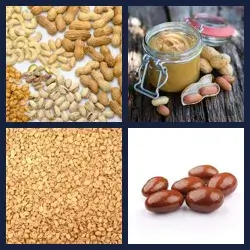 4 Pics 1 Word Level 2758