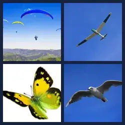 4 Pics 1 Word Level 2763