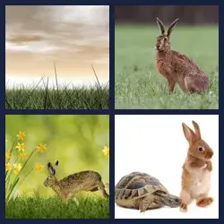 4 Pics 1 Word Level 2787