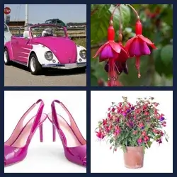 4 Pics 1 Word Level 2802