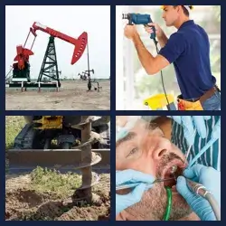 4 Pics 1 Word Level 2808