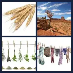 4 Pics 1 Word Level 282