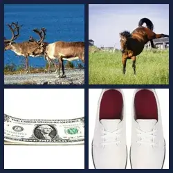 4 Pics 1 Word Level 2825