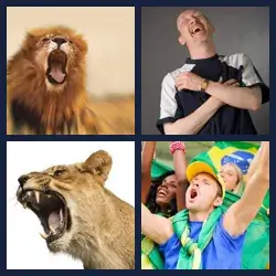 4 Pics 1 Word Level 2836