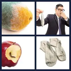 4 Pics 1 Word Level 2838