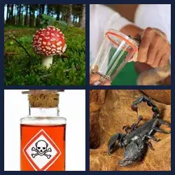 4 Pics 1 Word Level 284