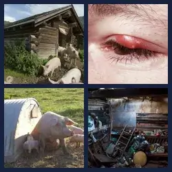 4 Pics 1 Word Level 2842