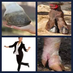 4 Pics 1 Word Level 2858