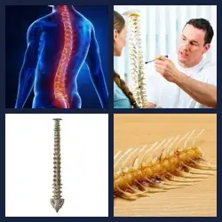 4 Pics 1 Word Level 2863