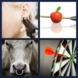 4 Pics 1 Word Level 2876