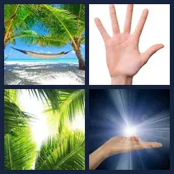 4 Pics 1 Word Level 295