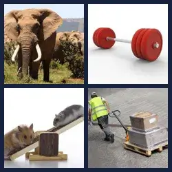 4 Pics 1 Word Level 300